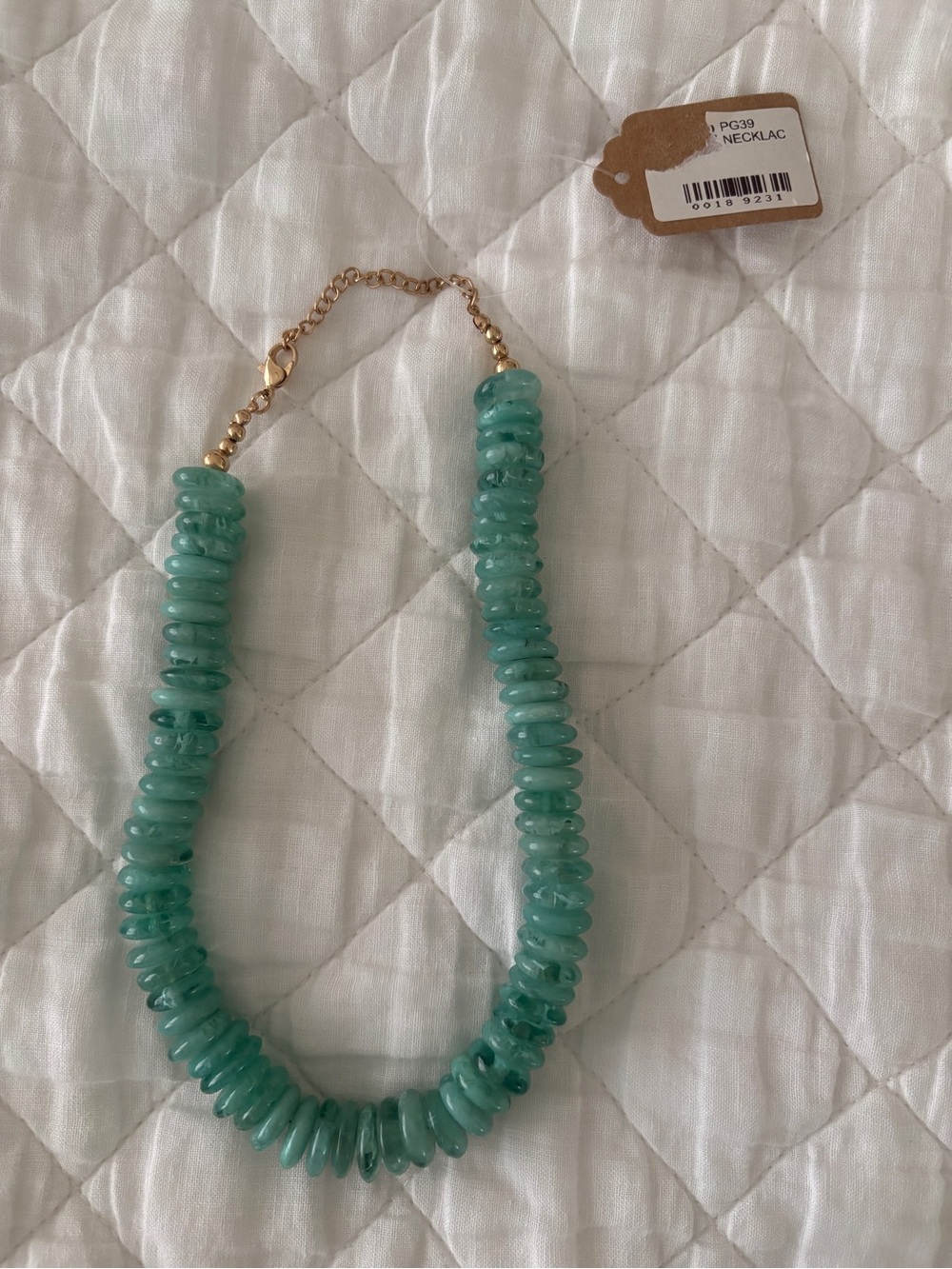 NWT Aqua Green Resin Bead Necklace